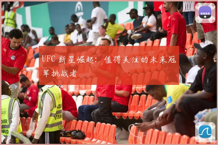 UFC 新星崛起：值得关注的未来冠军挑战者